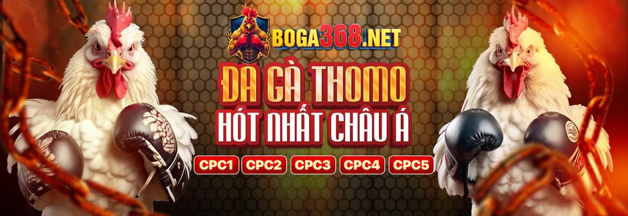 Các tính năng bảo mật giao dịch tại bet4vn win
