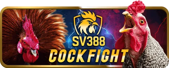 Hướng dẫn chơi casino trực tiếp bet4vn win