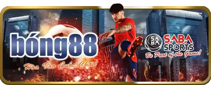 Mẹo cá cược thể thao từ bet4vn win